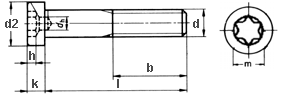 Zylinderschraube niedriger Kopf mit TORX-Antrieb ISO 14580 TX